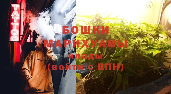 сатива Алзамай