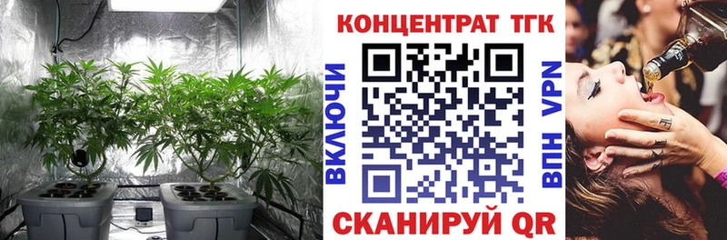 ТГК концентрат  где можно купить   Одинцово 