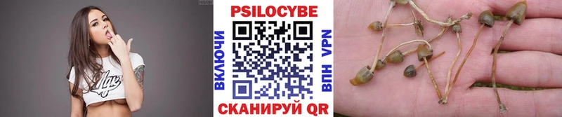 Псилоцибиновые грибы Psilocybe  МЕГА онион  Одинцово 